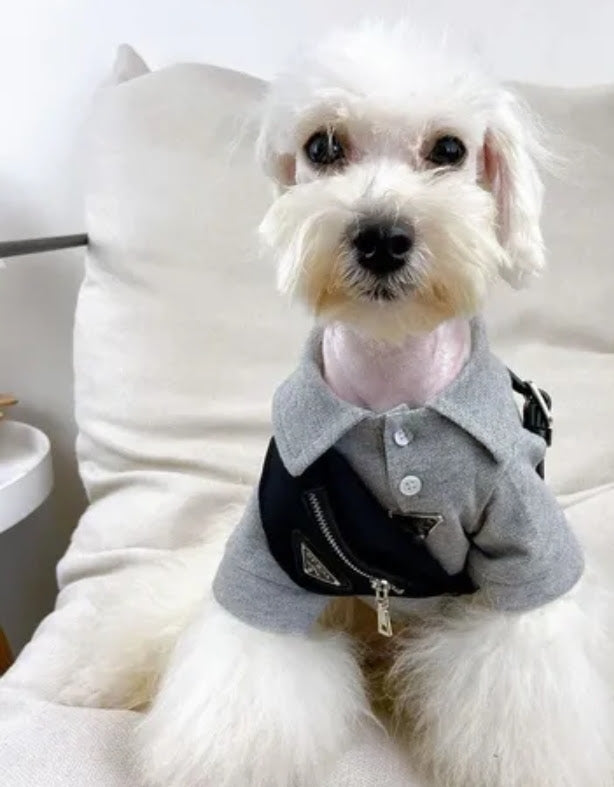 πΉπππ β & πΆππππ