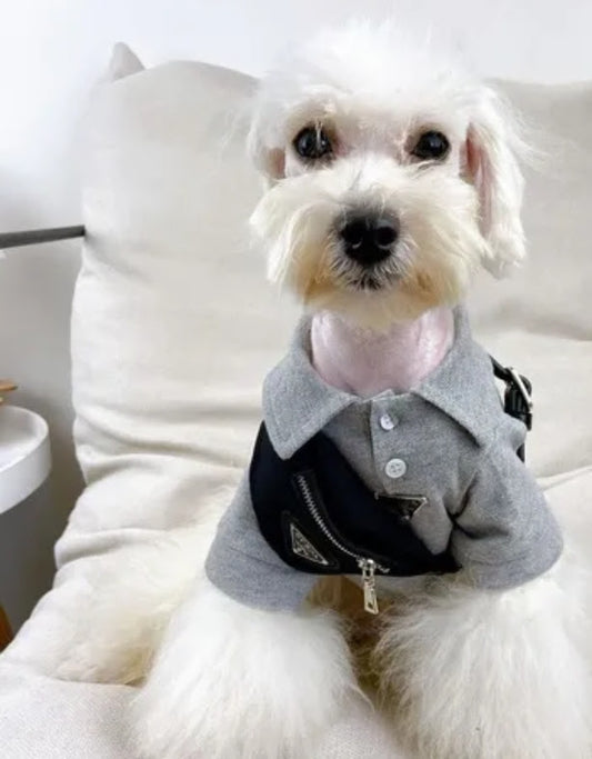 πΉπππ β & πΆππππ