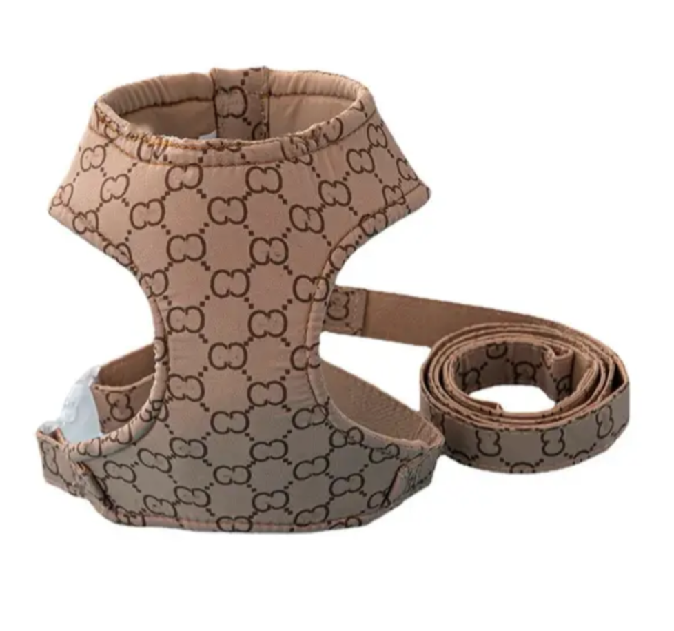 πππ βπππ π»πππππ π  & πΏπππ β πππ‘