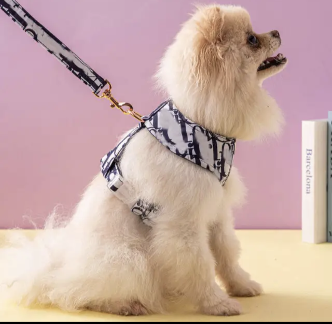 πππ βπππ π»πππππ π  & πΏπππ β πππ‘