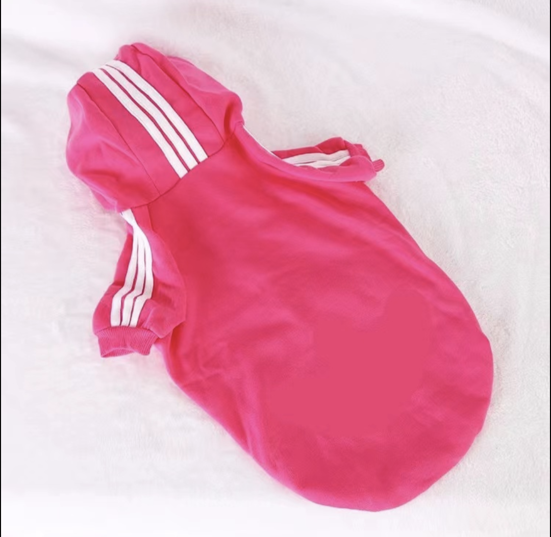 πππππ π½πππ π»πππππ