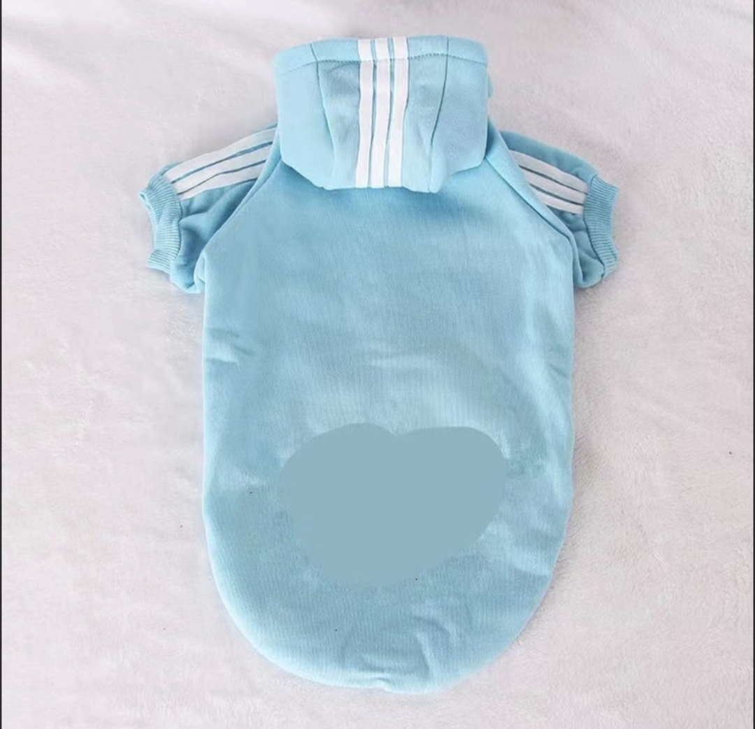 πππππ π½πππ π»πππππ