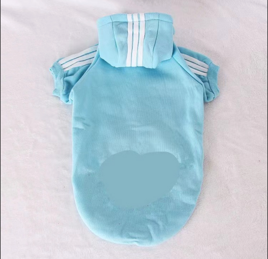 πππππ π½πππ π»πππππ