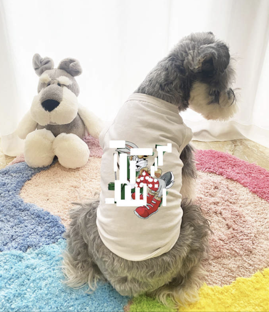 π΅π’ππ  π΅π’πππ¦ π·ππ πππππ