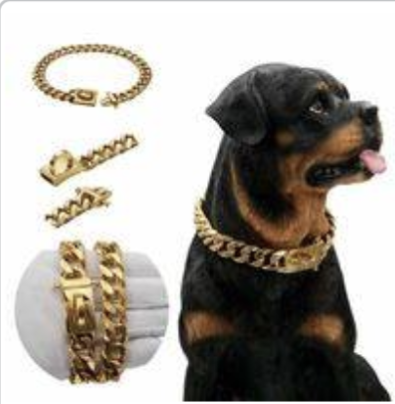 πΆπ’πππ πΏπππ πππ‘