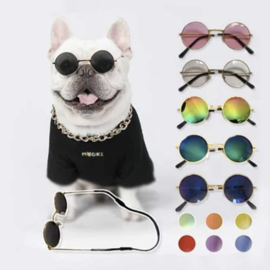 πΆπππ πΎπππ  πβππππ