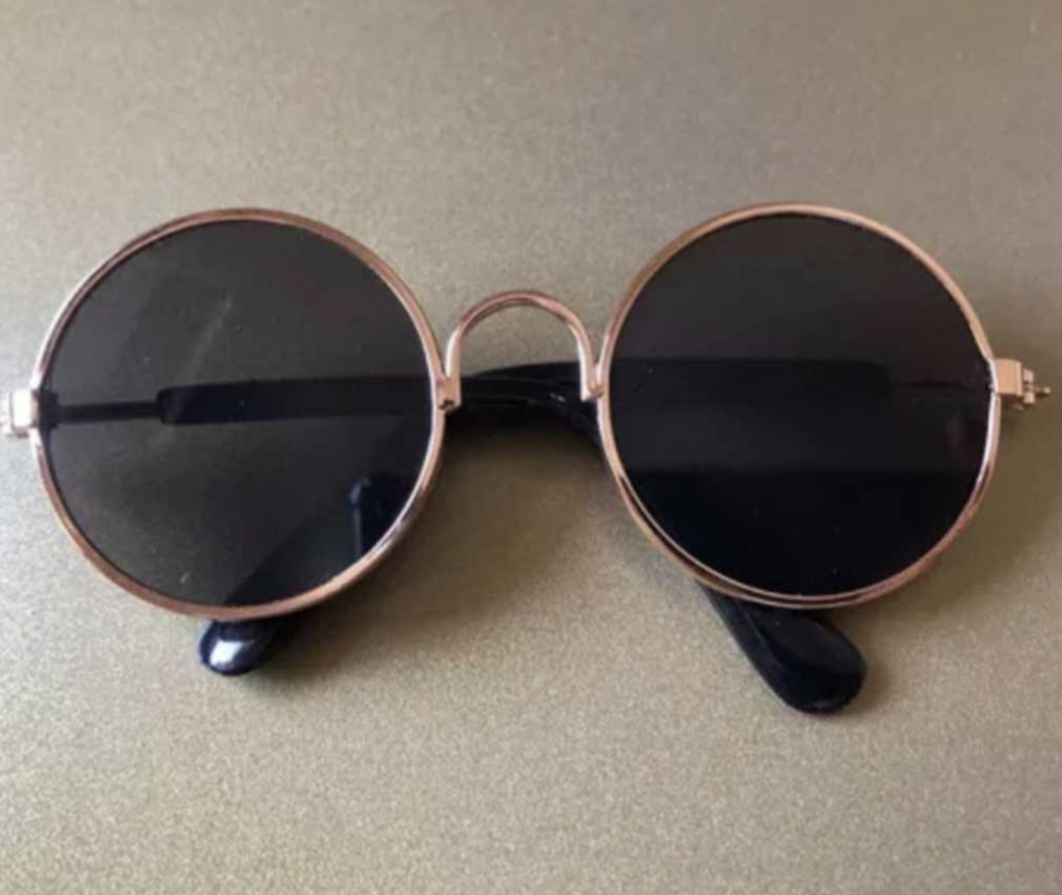 πΆπππ πΎπππ  πβππππ