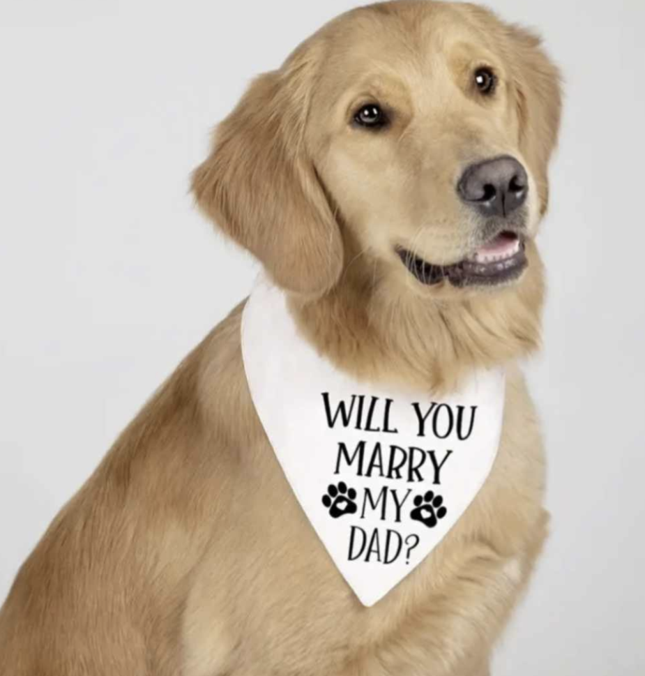 πππππ’π π΅πππππππ