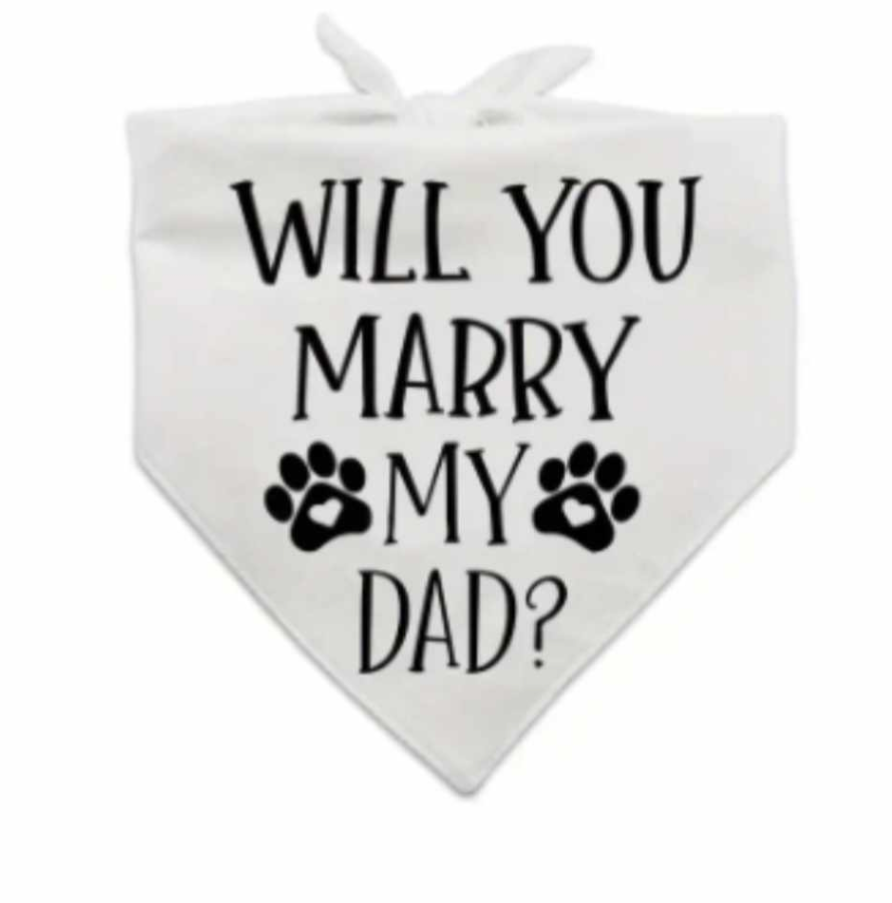 πππππ’π π΅πππππππ