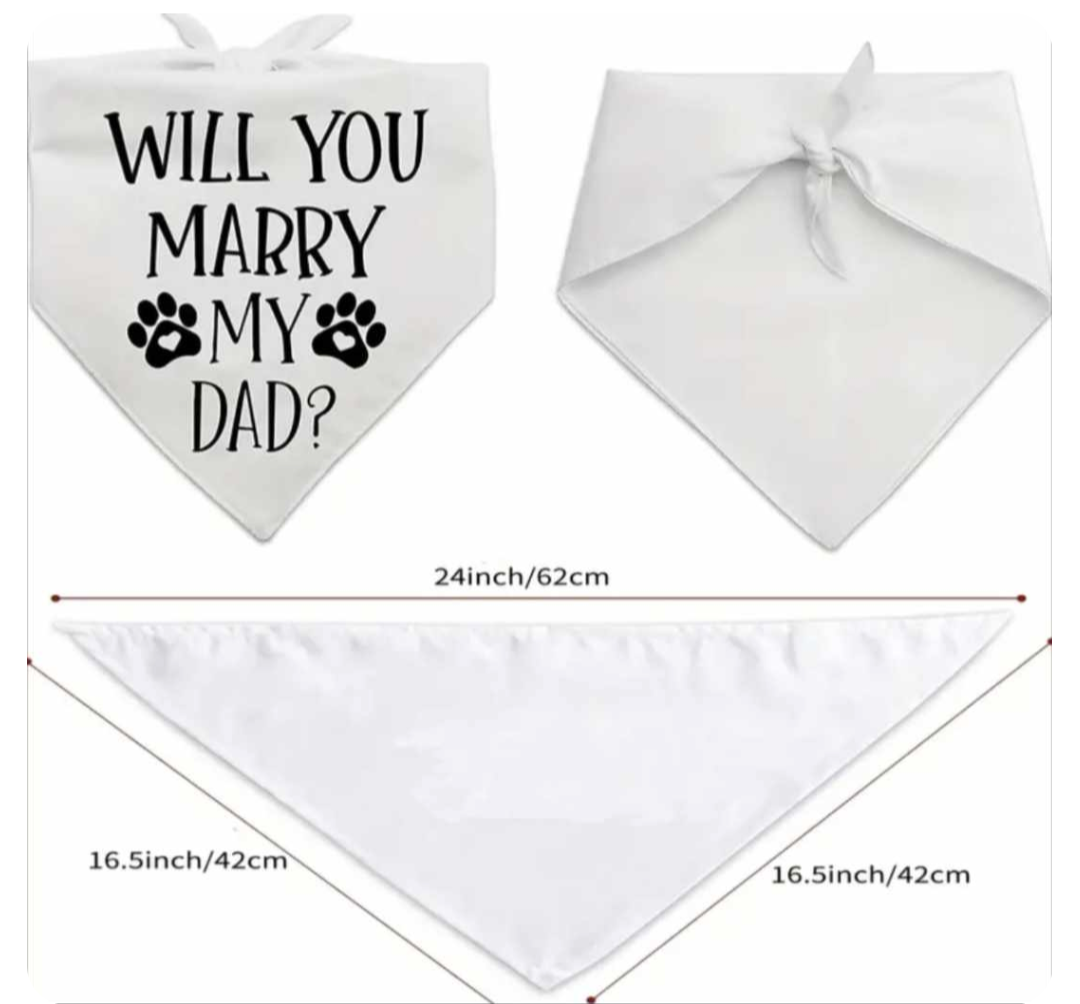 πππππ’π π΅πππππππ