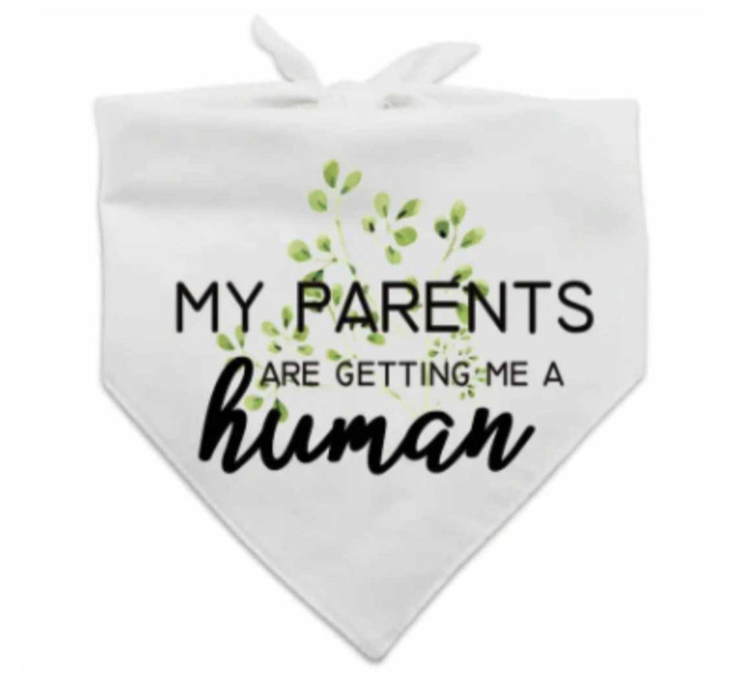 πππππ’π π΅πππππππ