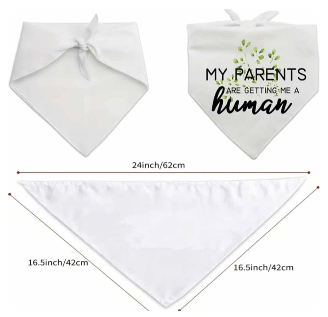 πππππ’π π΅πππππππ