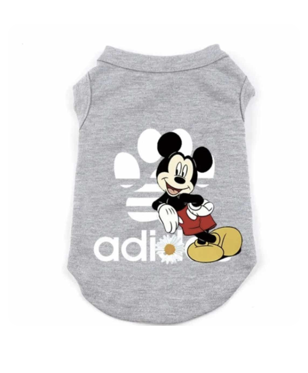 π·ππ πππ¦ ππππππ¦