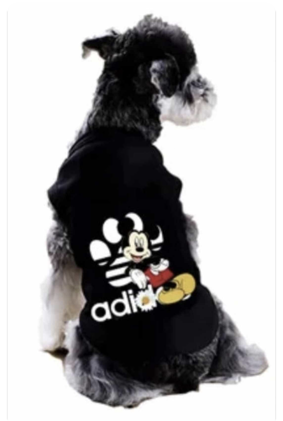 π·ππ πππ¦ ππππππ¦