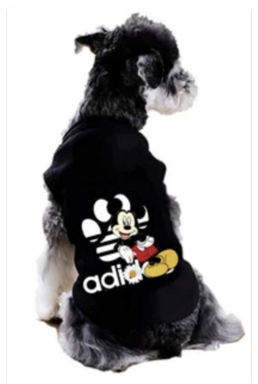 π·ππ πππ¦ ππππππ¦