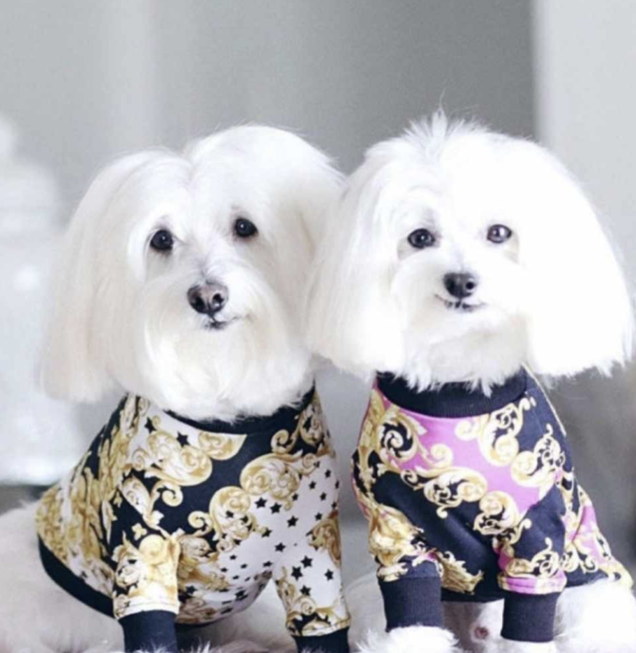 πΏπππ πππππ£π π·ππππ