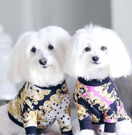 πΏπππ πππππ£π π·ππππ