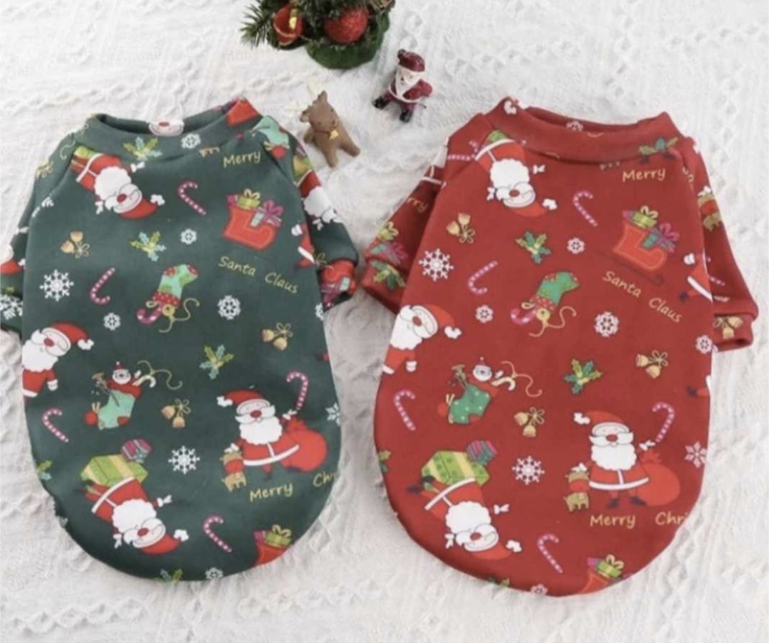 πΆβπππ π‘πππ  πΊπππ