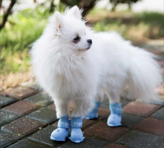 π΅ππ’π π΅πππ‘πππ