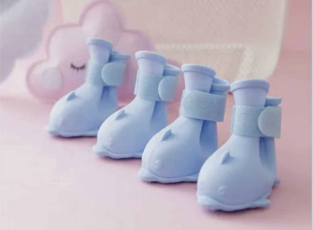 π΅ππ’π π΅πππ‘πππ