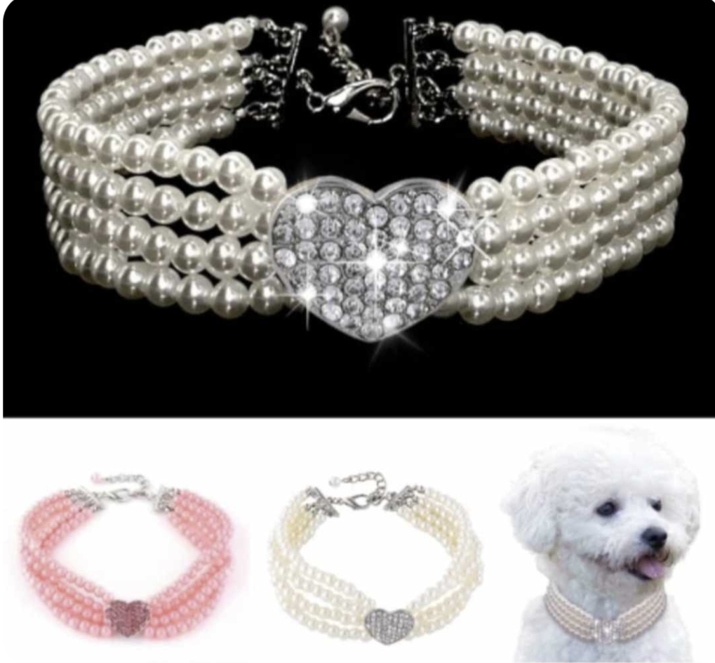 πππππππ π  ππππππ