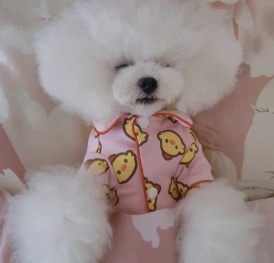 ππππππ¦ πΆβπππ ππππ