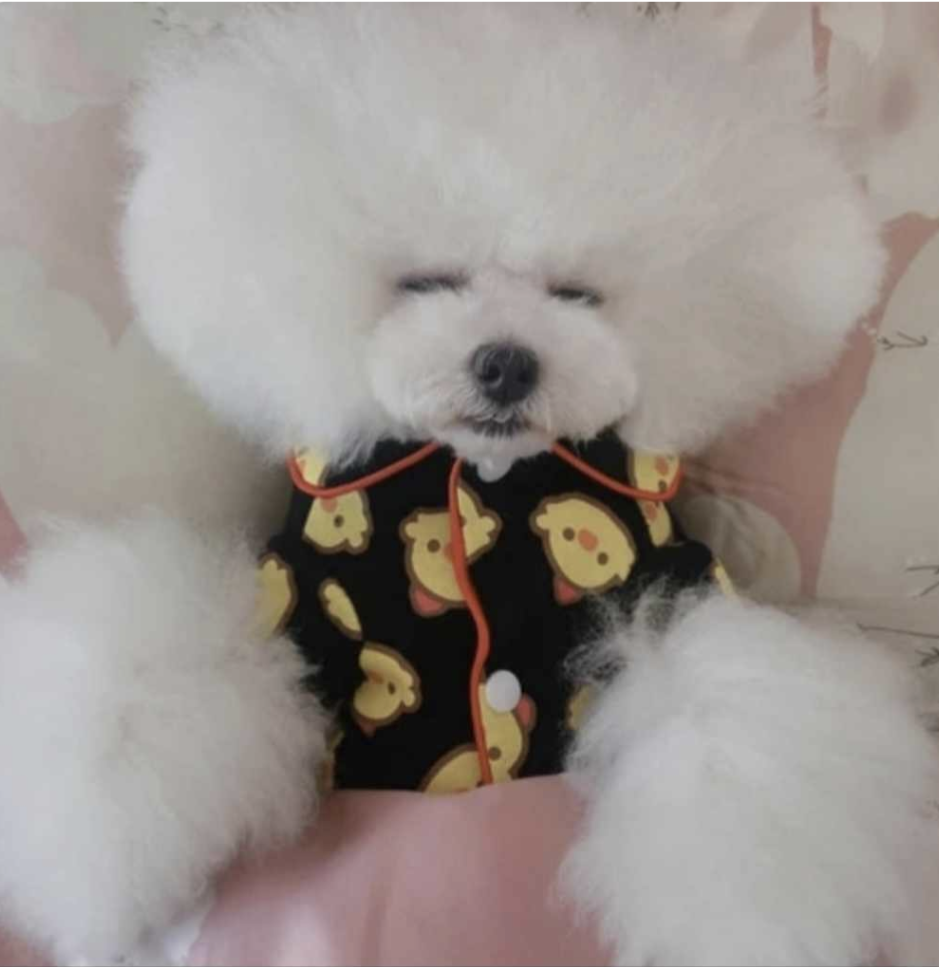 ππππππ¦ πΆβπππ ππππ