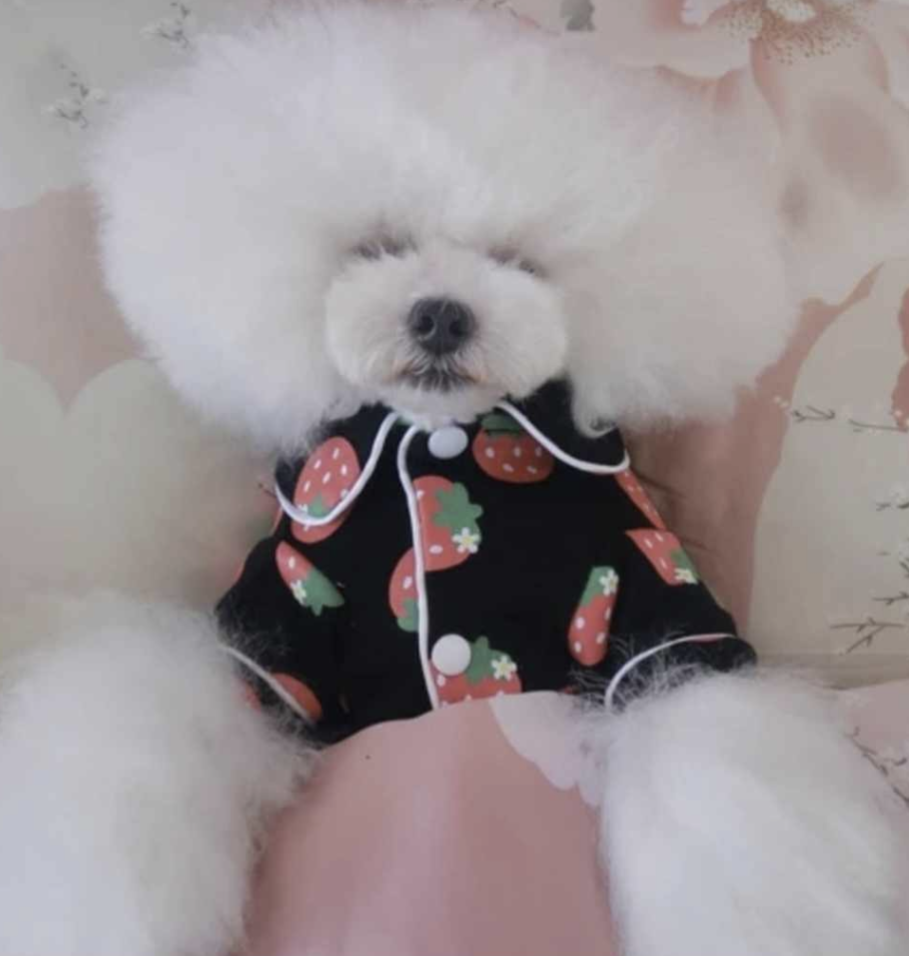 ππππππ¦ ππ‘πππ€πππππ¦ ππππ