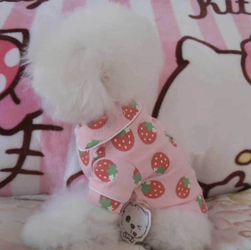 ππππππ¦ ππ‘πππ€πππππ¦ ππππ