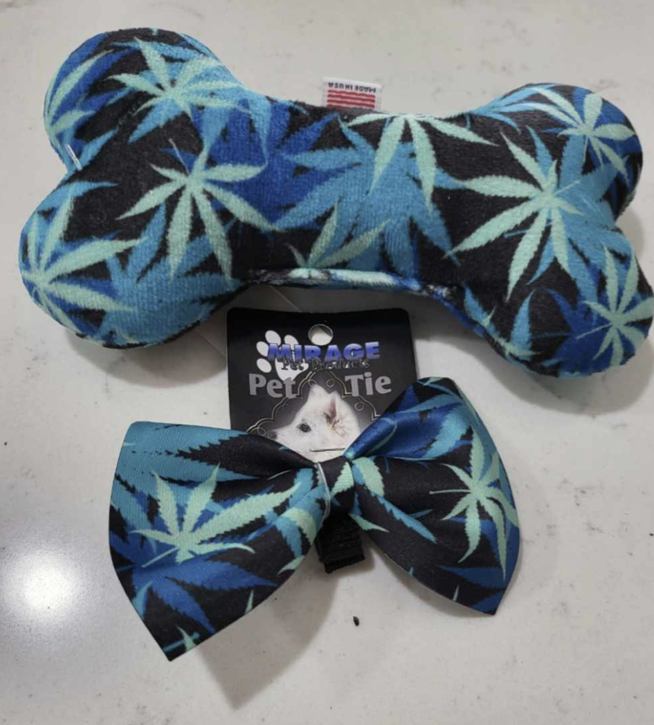 ππππ¦ π½πππ π
ππ π‘π πΆππππππ‘πππ