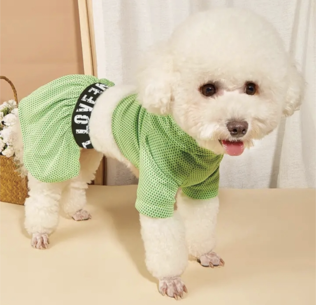 𝐺𝑟𝑒𝑒𝑛 𝐿𝑜𝑣𝑒 𝐿𝑜𝑣𝑒 – Pet Pashion LLC 𝐺𝑟𝑒𝑒𝑛 𝐿𝑜𝑣𝑒 𝐿𝑜𝑣𝑒 – Pet Pashion LLC
