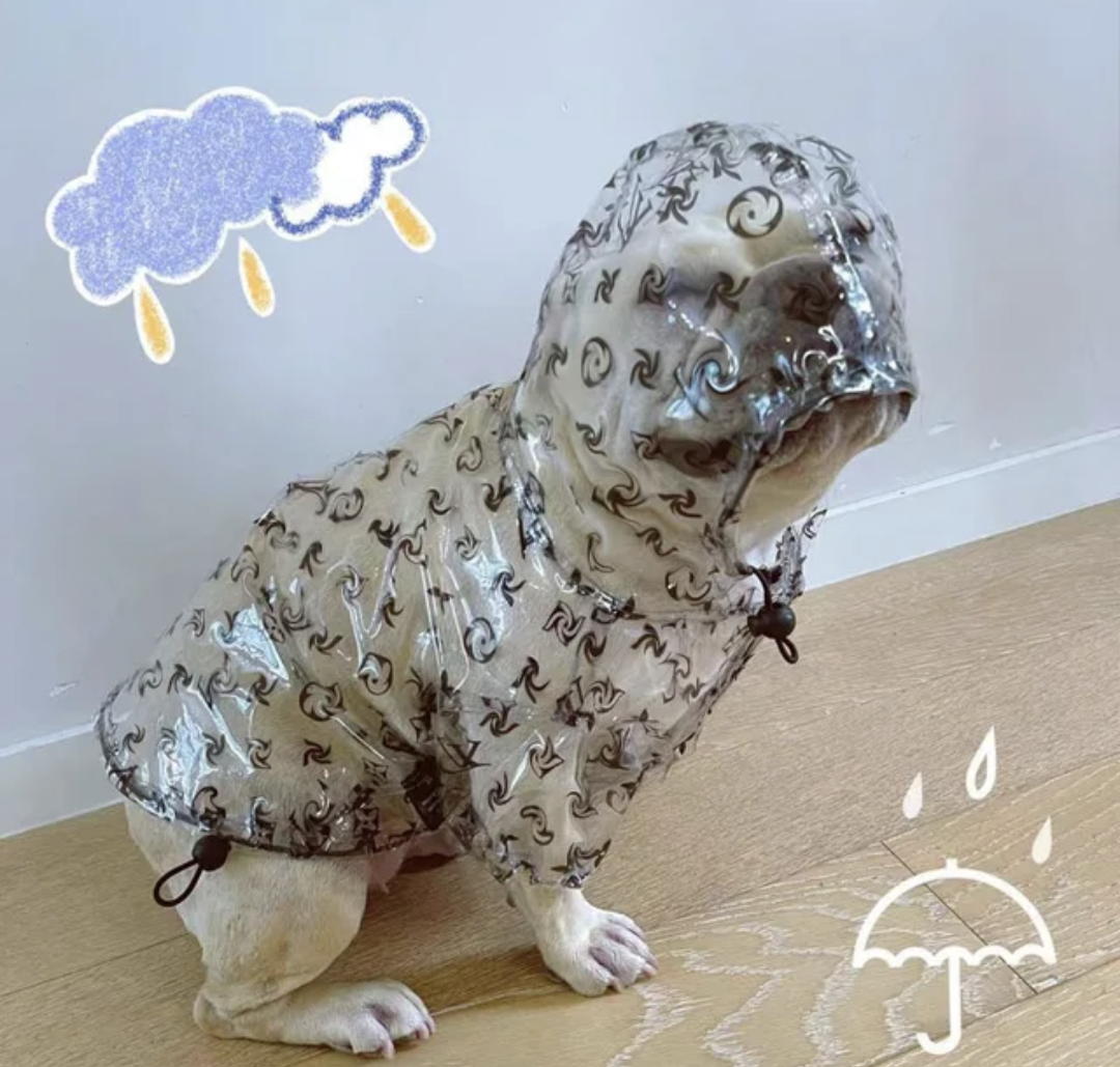 πππ βπππ π
πππππππ‘