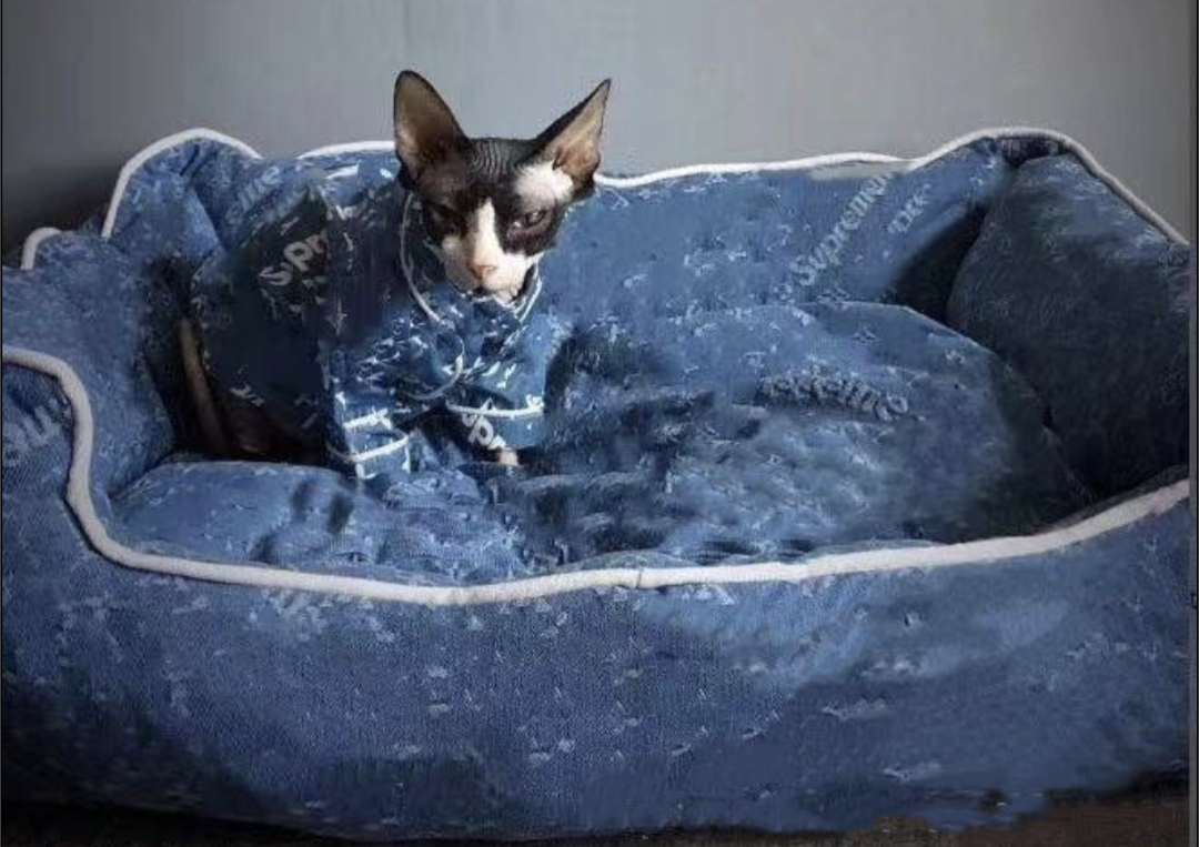 πΏπ’π₯π’ππ¦ π·ππ πππππ π΅πππ