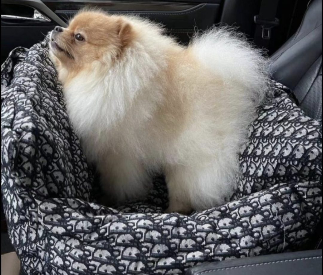 πΏπ’π₯π’ππ¦ π·ππ πππππ π΅πππ