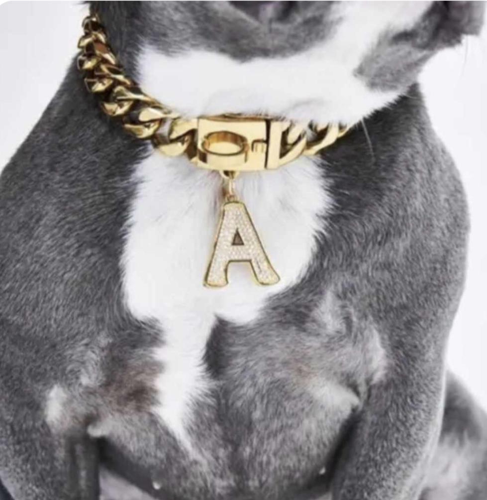 π΄ππβππππ‘ πΆβππππ