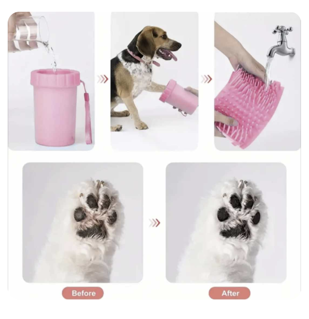 πππ€ πππ βππ