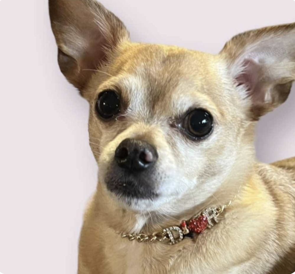 π·ππ’πππ πππ’π πππππ π’ππ