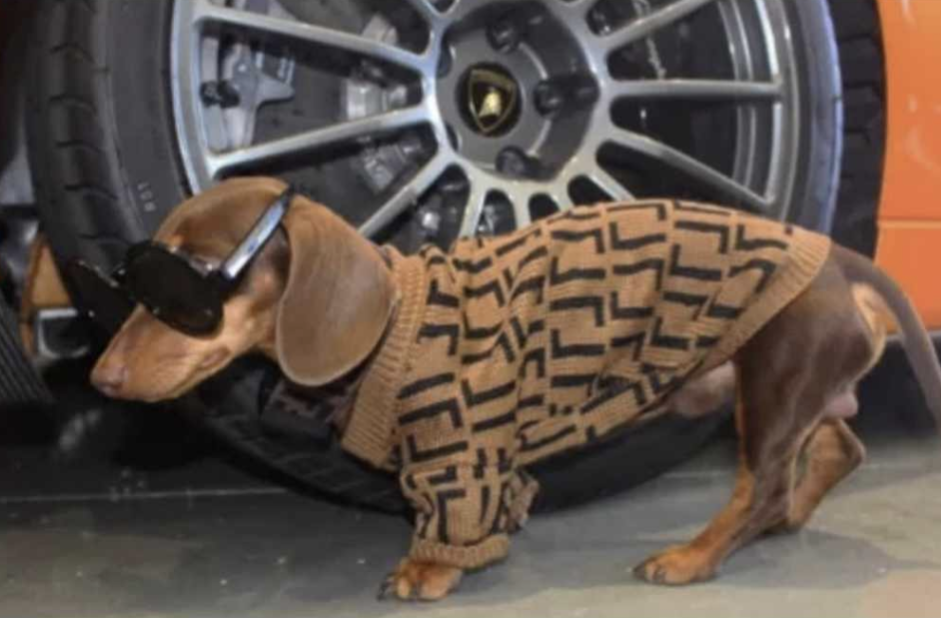 π΅πππ€π πΉπ’π