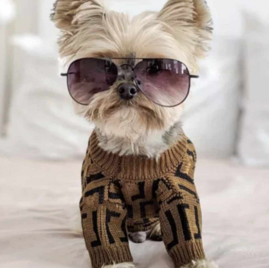 π΅πππ€π πΉπ’π