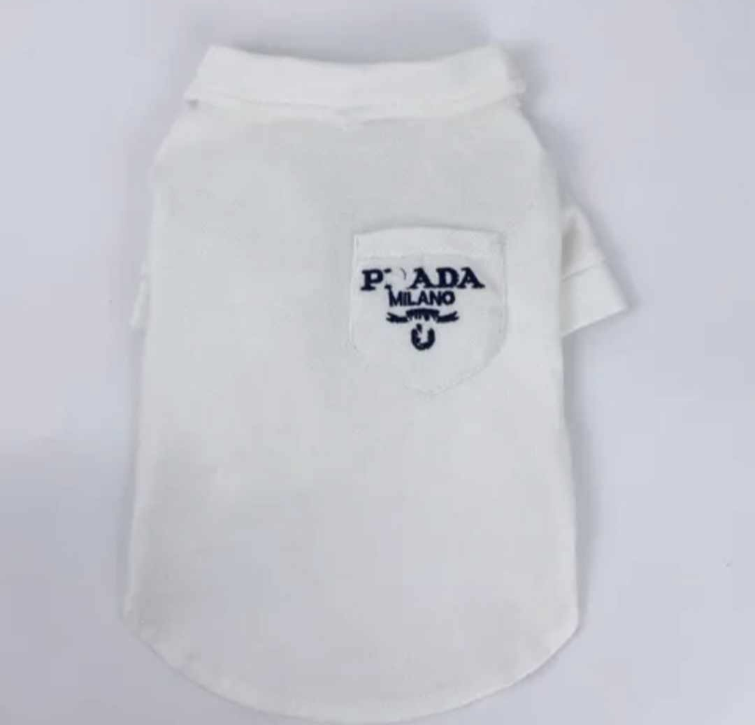 πΉπππ β & πΆππππ