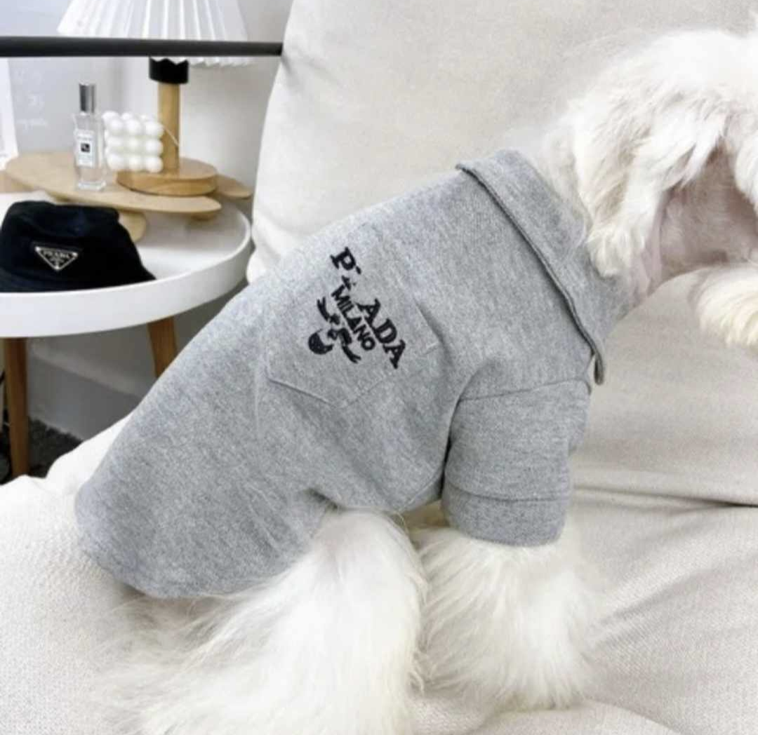 πΉπππ β & πΆππππ