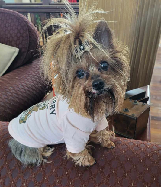 πππππ¦ π΅πππ πβπππ‘