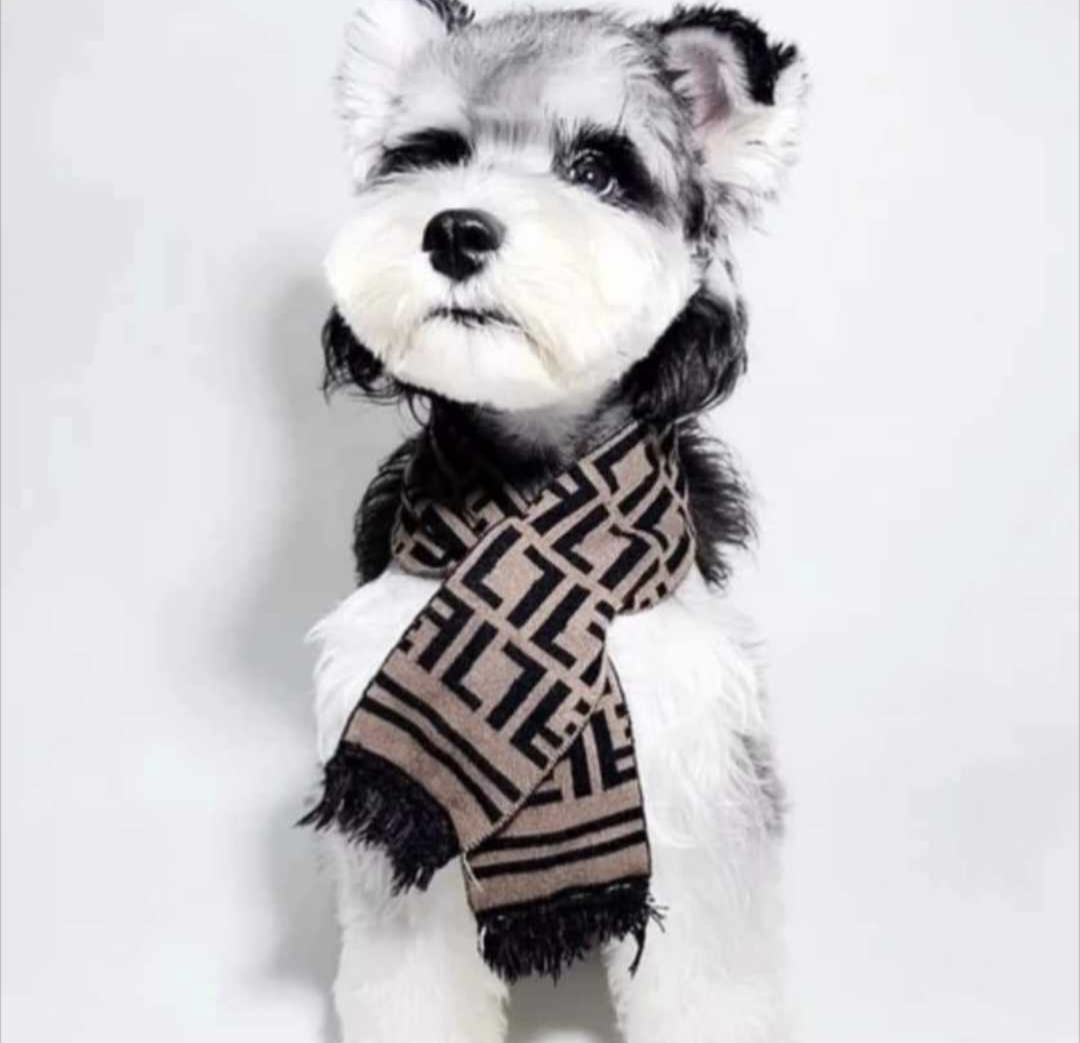 ππππ ππ ππ πΏπ’π₯π’ππ¦