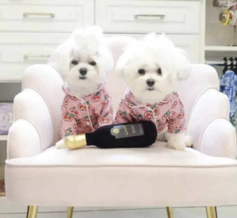 πΆβππππ¦ ππππππ πππ