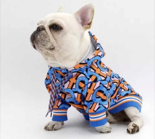 π½π’π π‘ π΅