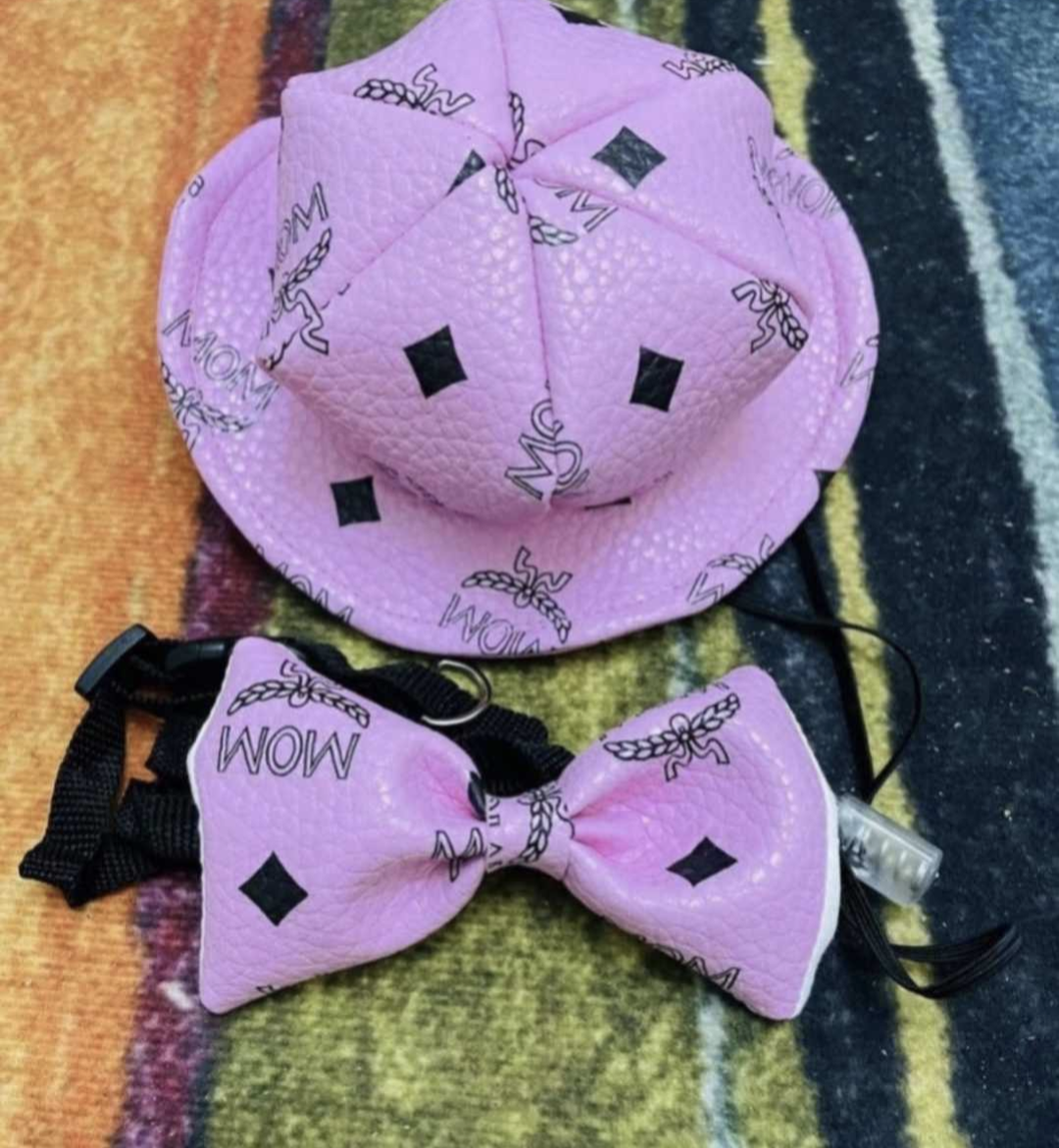 π·πππππ πππ‘