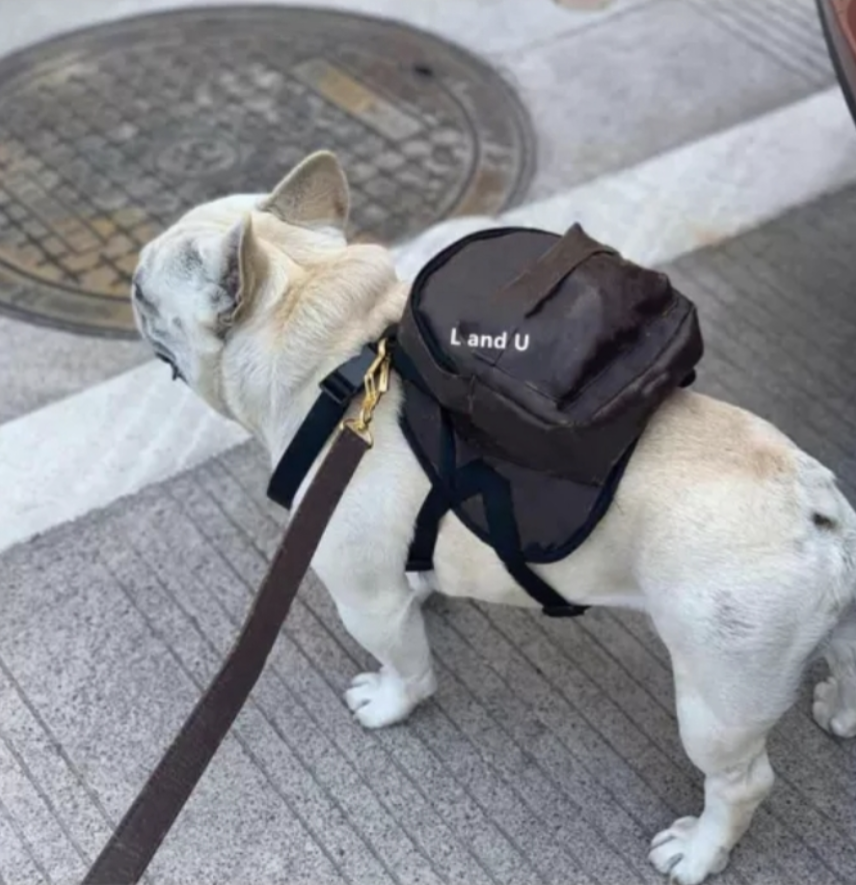 πππ βπππ π΅ππππππππ