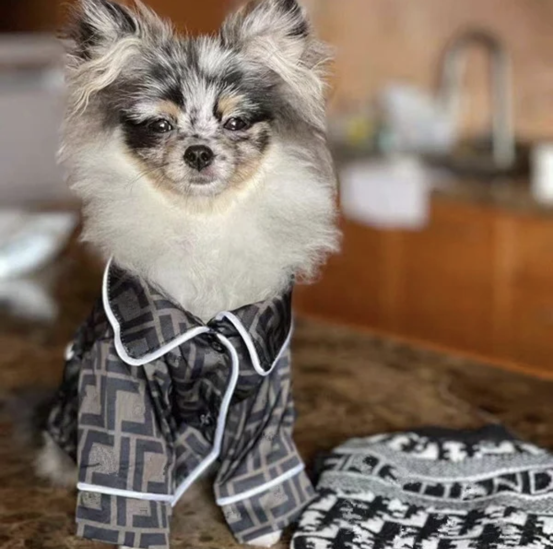 ππππ π½ππππ¦ ππππ