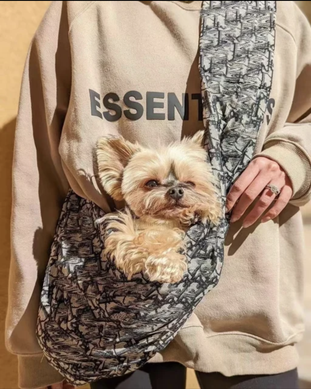 πππππ πΆππππππ