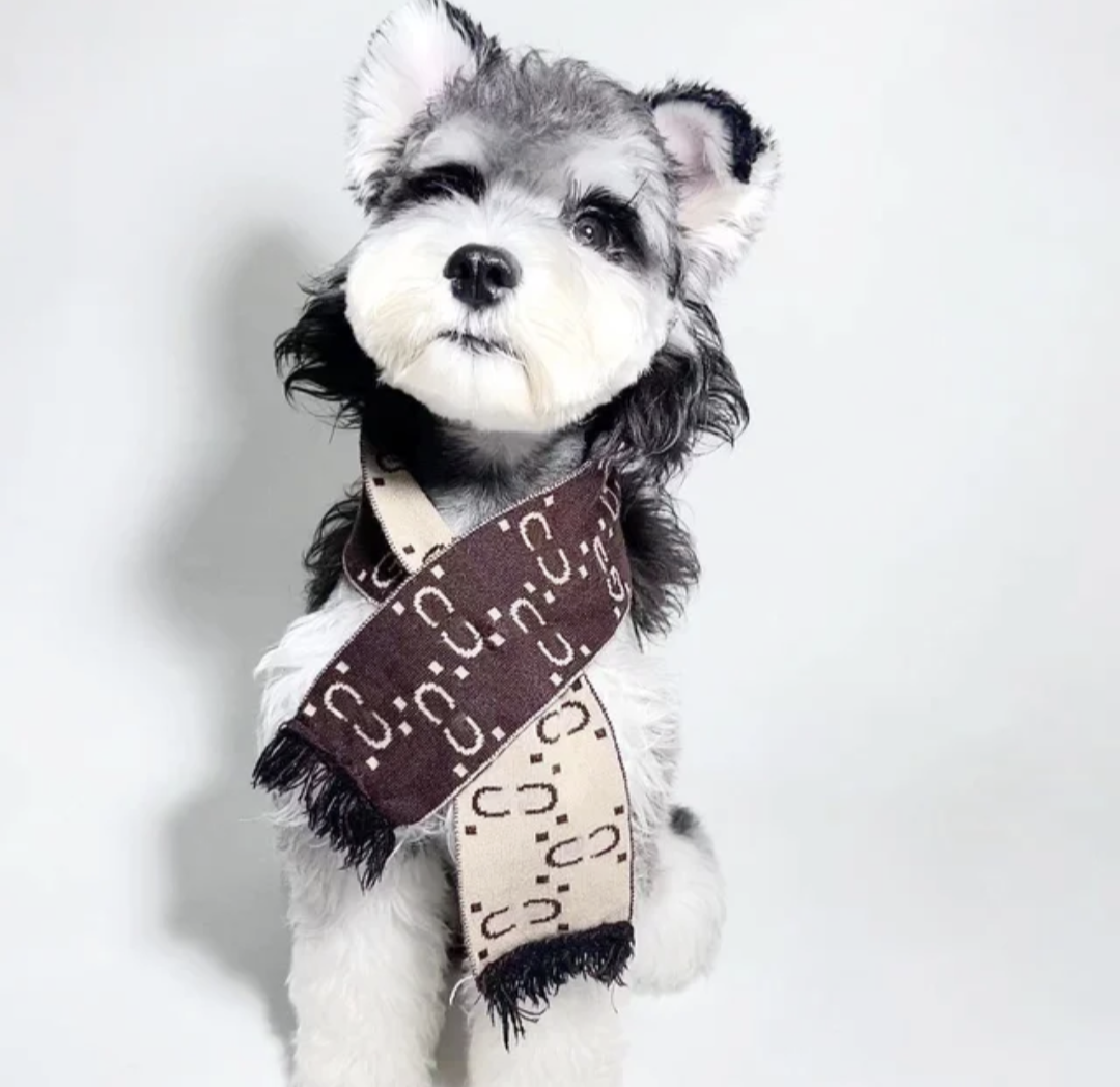 ππππ ππ ππ πΏπ’π₯π’ππ¦